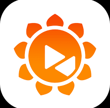 A comprehensive analysis of Sunflower Remote Assistance Software: an efficient and convenient remote support solution