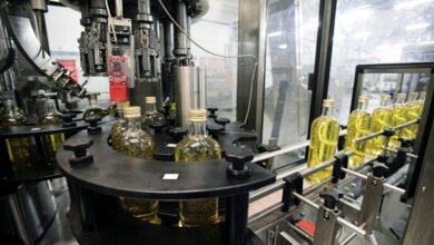 ancient roots olive oil