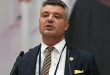 sadettin saran net worth